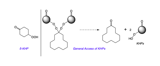 Illustration: General Access of KHPs