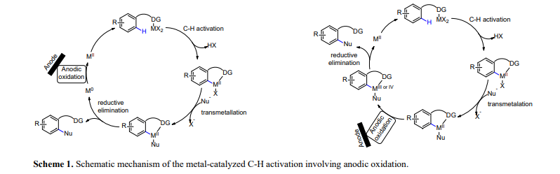 Schematic mechanism of the metal-catalyzed C-H activation involving anodic oxidation