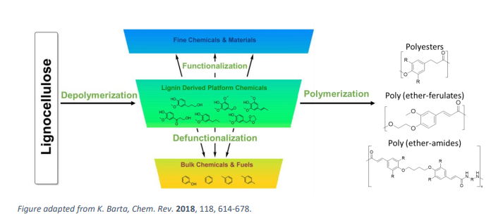 Depolymerization/Polymerization of Lignin-based Compounds