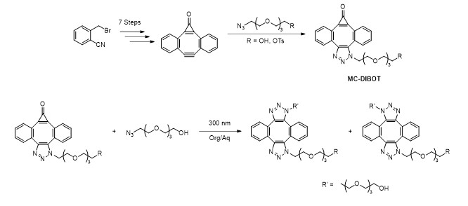 mono-cyclopropenone caged dibenzocyclooctyne triazole (MC-DIBOT-R) derivatives