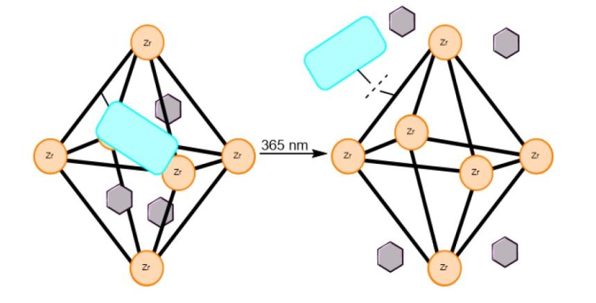 Illustration of Metal-Organic Framework