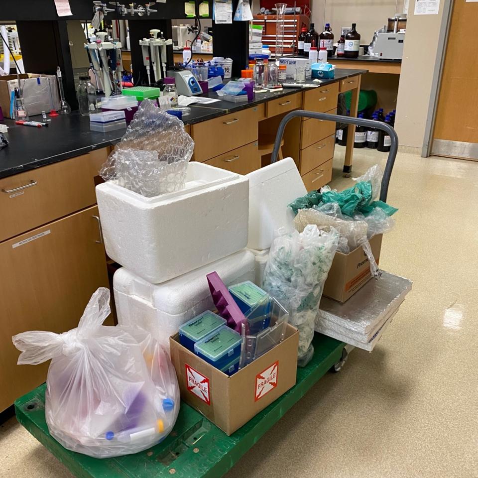 A load of lab waste that was recycled and diverted from landfill